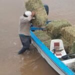 730x473_260323205348_74563