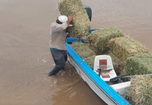 730x473_260323205348_74563