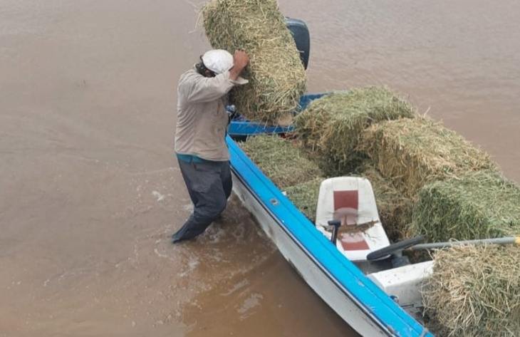 730x473_260323205348_74563